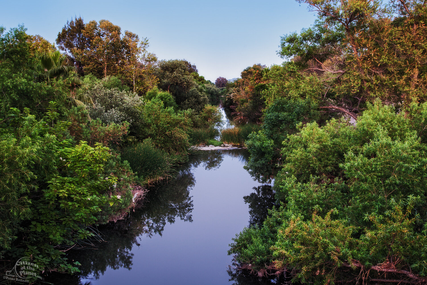  At the Sepulveda Basin Recreation Area the river is so overgrown it’s hard to believe you are in a city. 