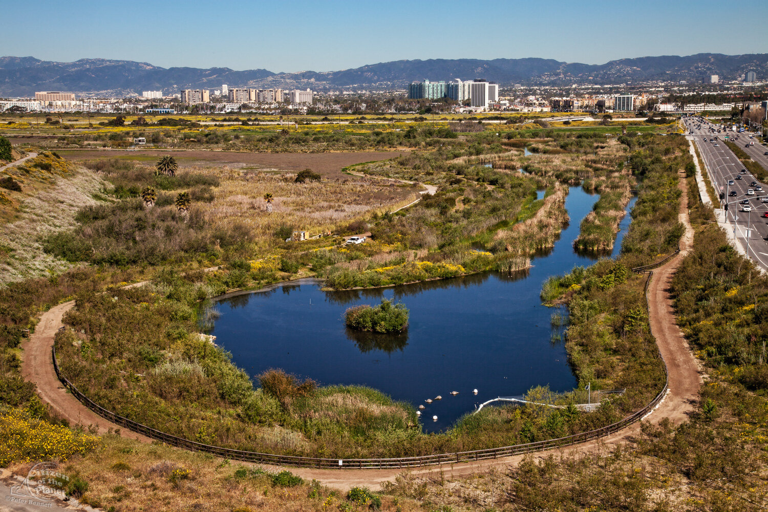  Daytime view of the Freshwater Marsh. 