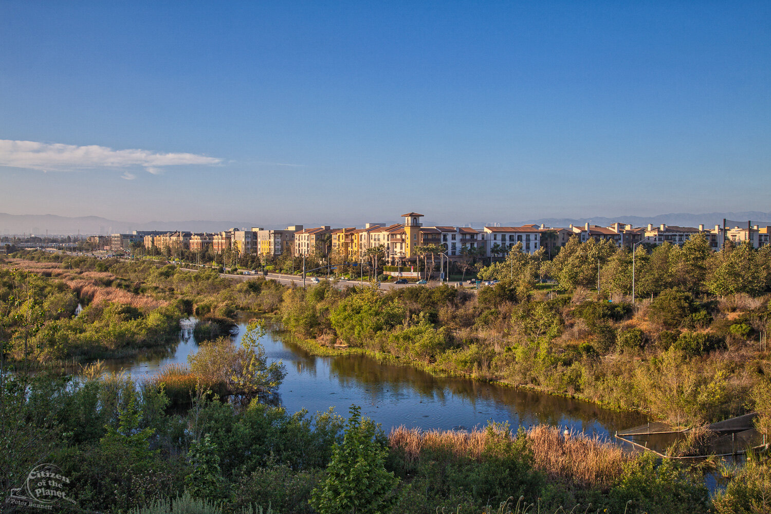  Playa Vista is planned community built on a portion of the Ballona Wetlands, development began in 2002 after a long dispute with local communities and environmental organizations concerning increased congestion, destruction of natural habitat and fe