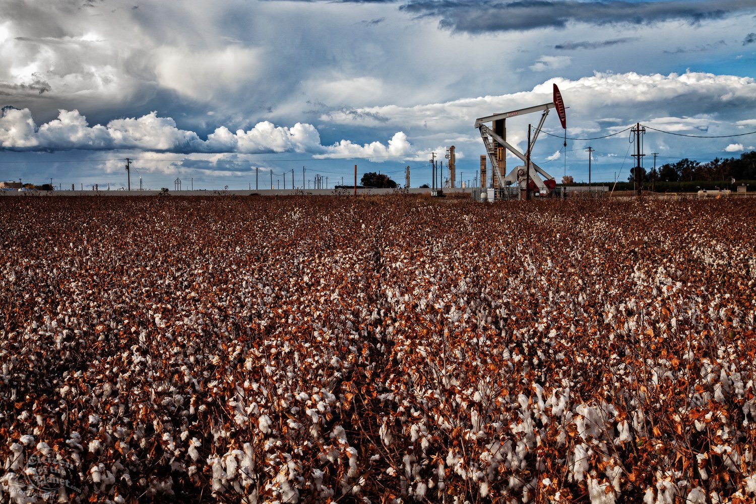  Pumpjack and fracking site in cotton field, Kern County. 