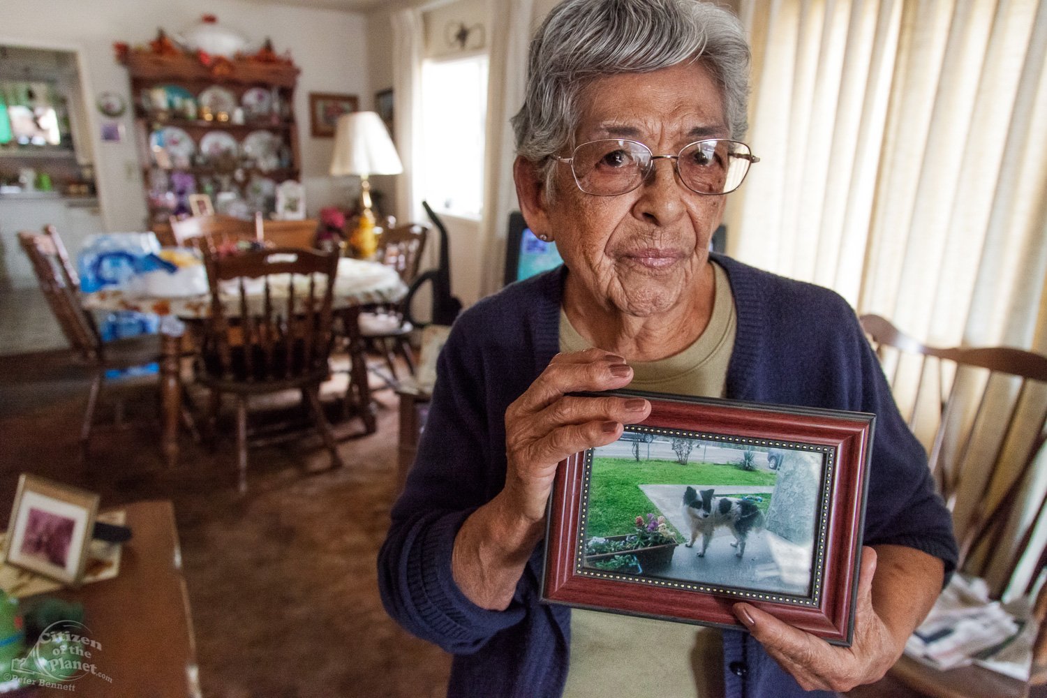  Vicki Yorba, 95, shows a photo of her front lawn before the severe drought that has affected her community. Vicki’s well ran dry and now depends on bottled water being delivered by volunteers. 