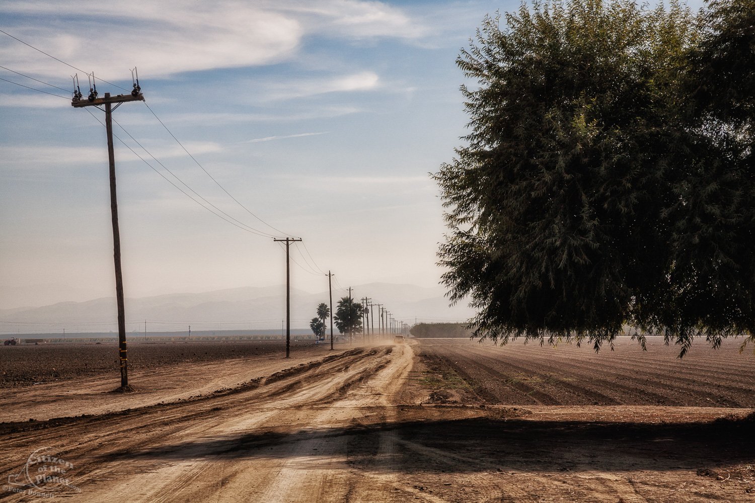  Dusty road and fallow crop field on the Cardella Winery and farm. Fresno County. 