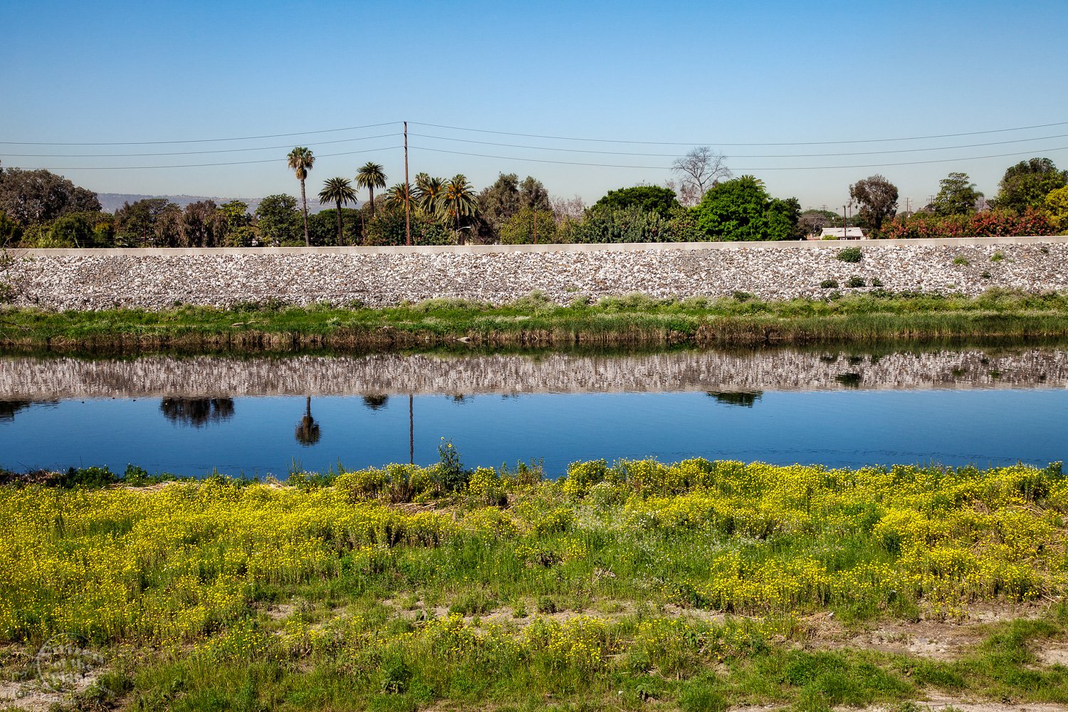  Los Angeles River near WIllow Street 