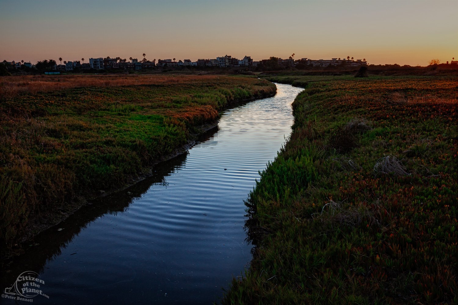  Sun sets over Ballona Wetlands with homes in Playa Del Rey in the background 