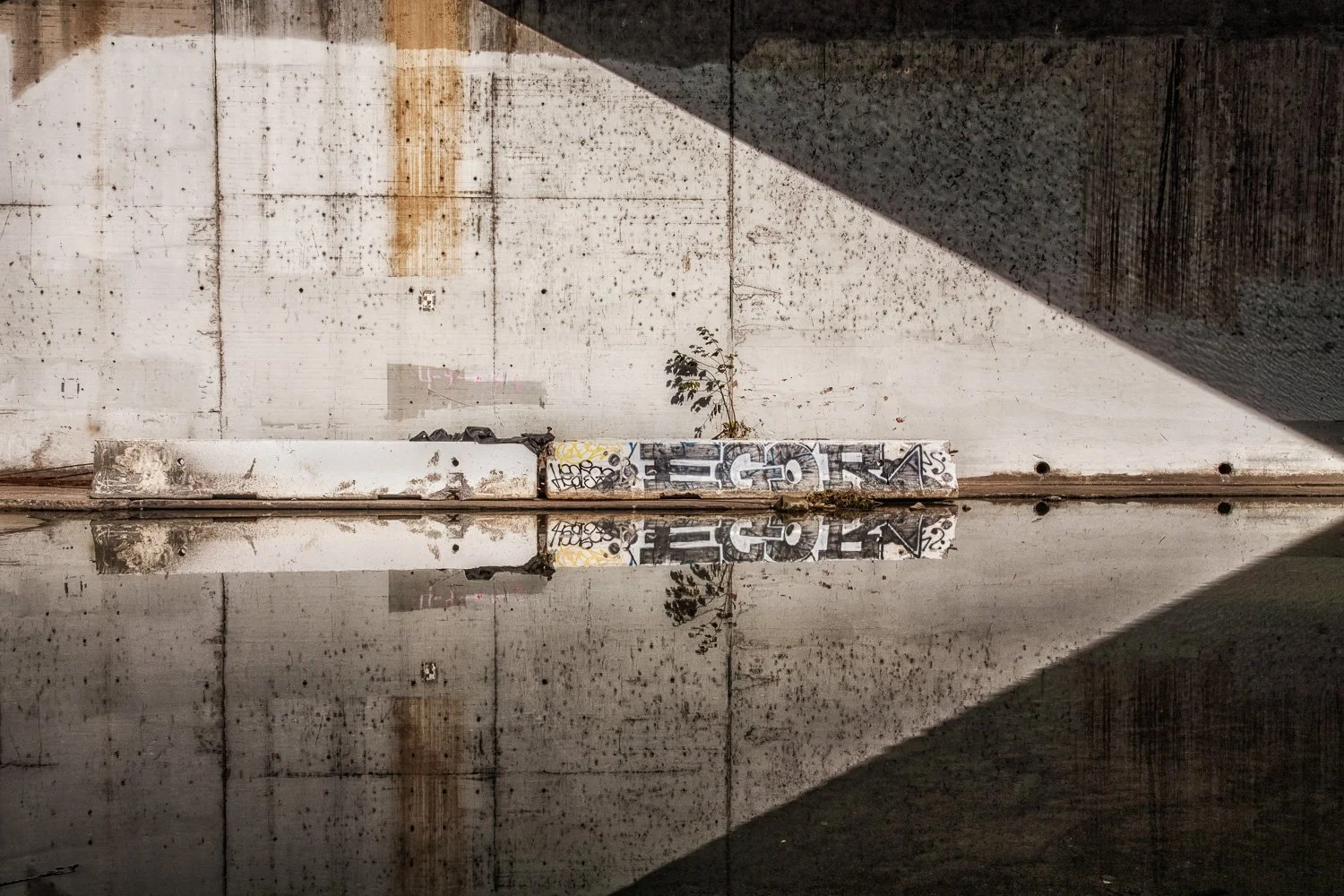 WALLS &amp; BRIDGES