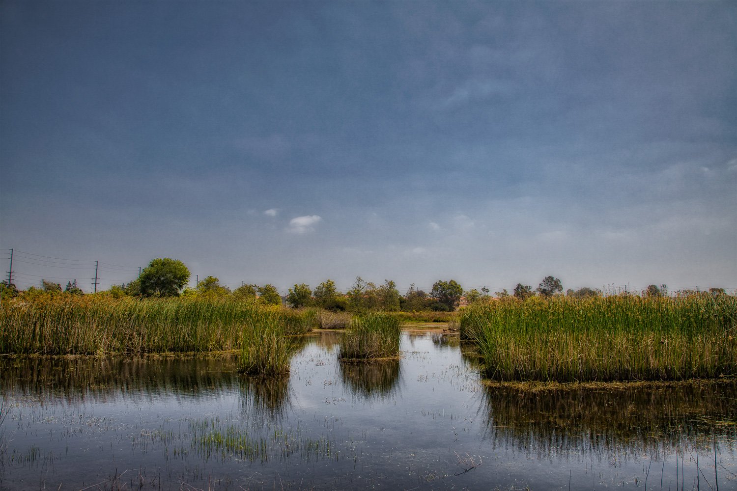 CALIFORNIA WETLANDS