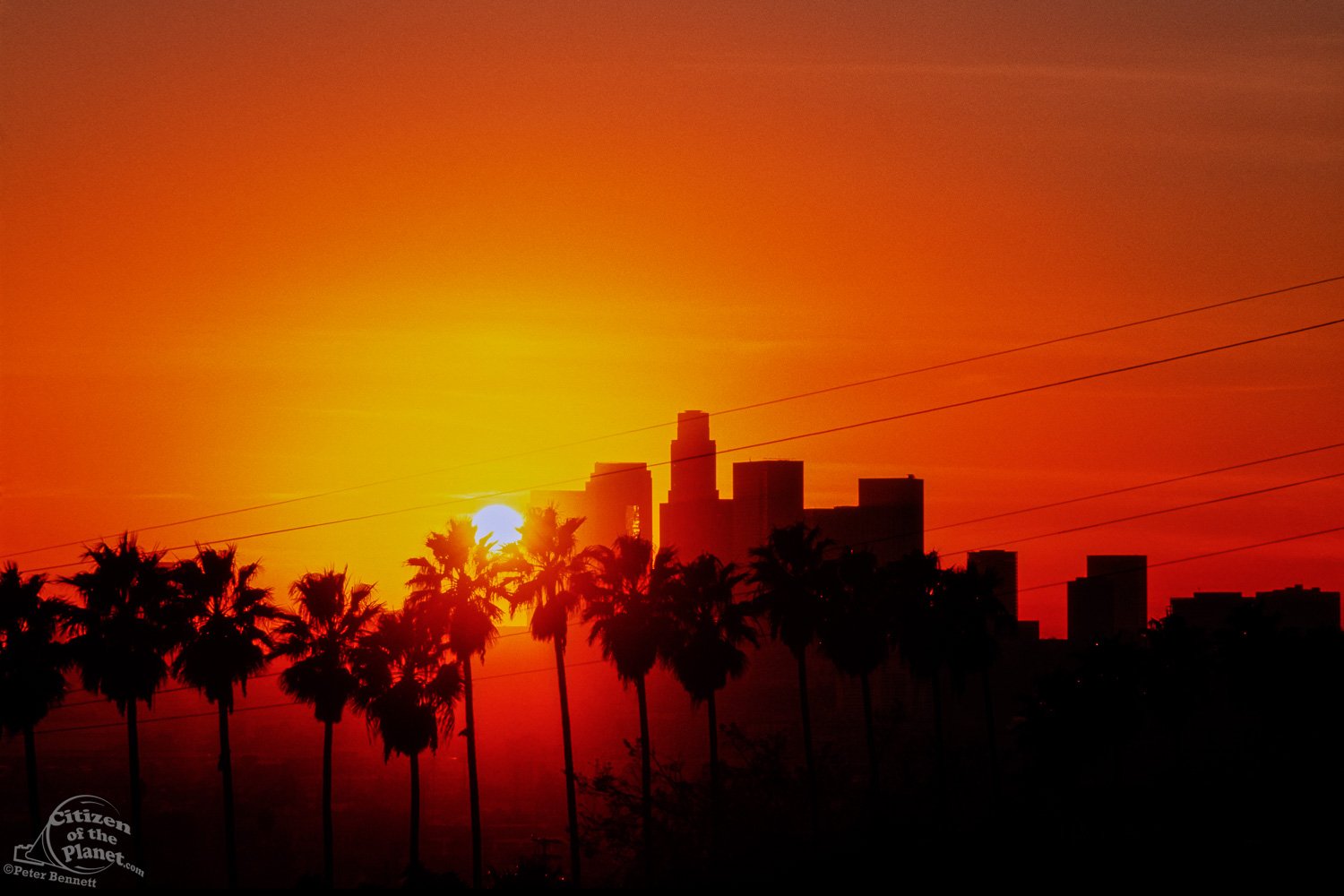 Los Angeles skyline and sunset