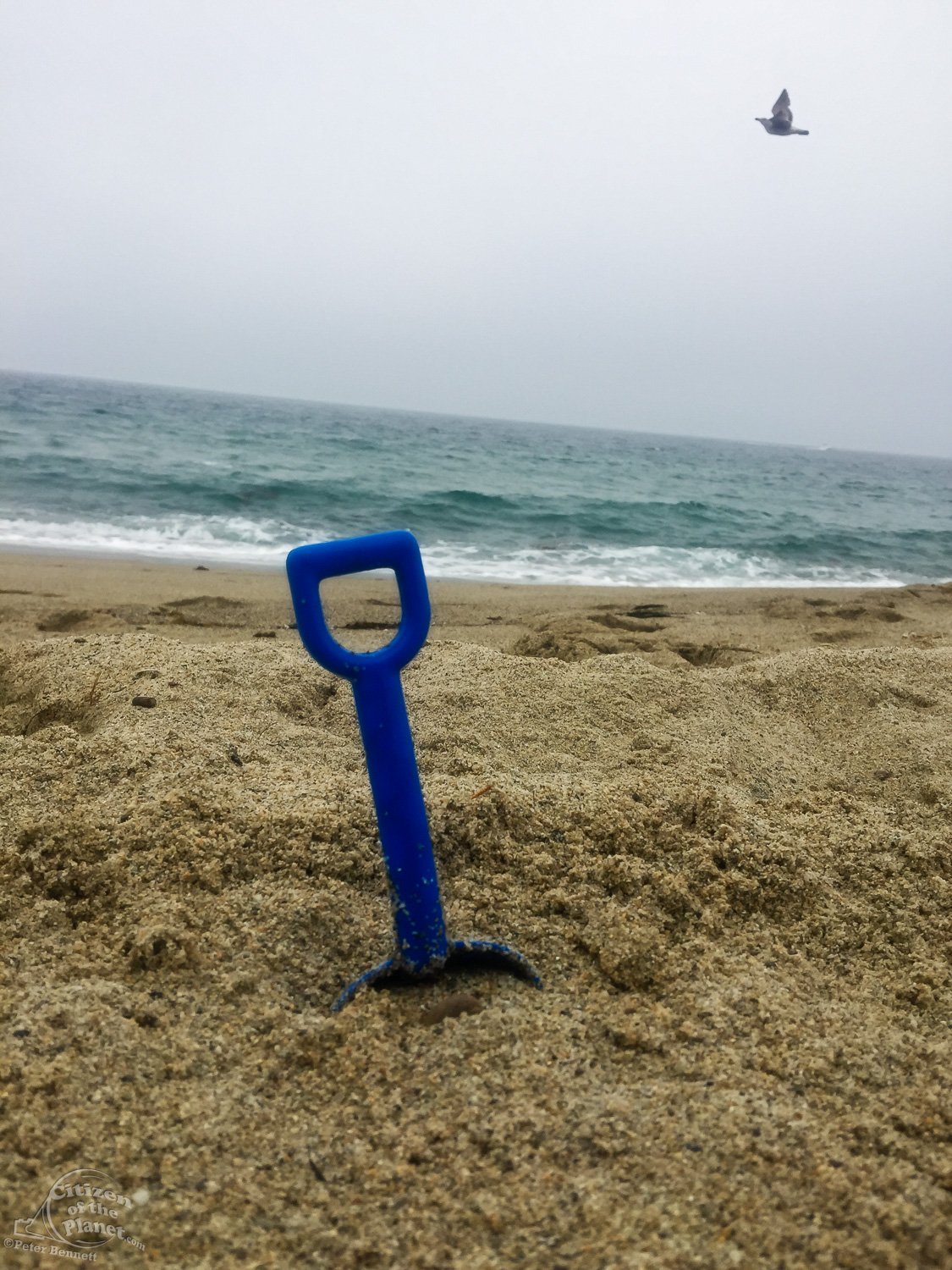 Shovel Handle with Seagull