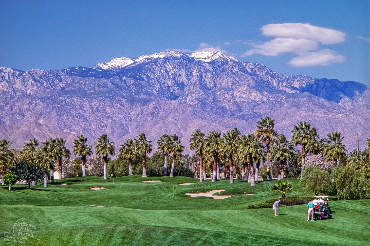 Palm Springs Golf