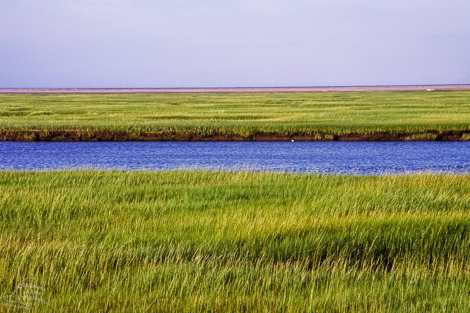 Wetlands at Fort Hill, Cape Cod