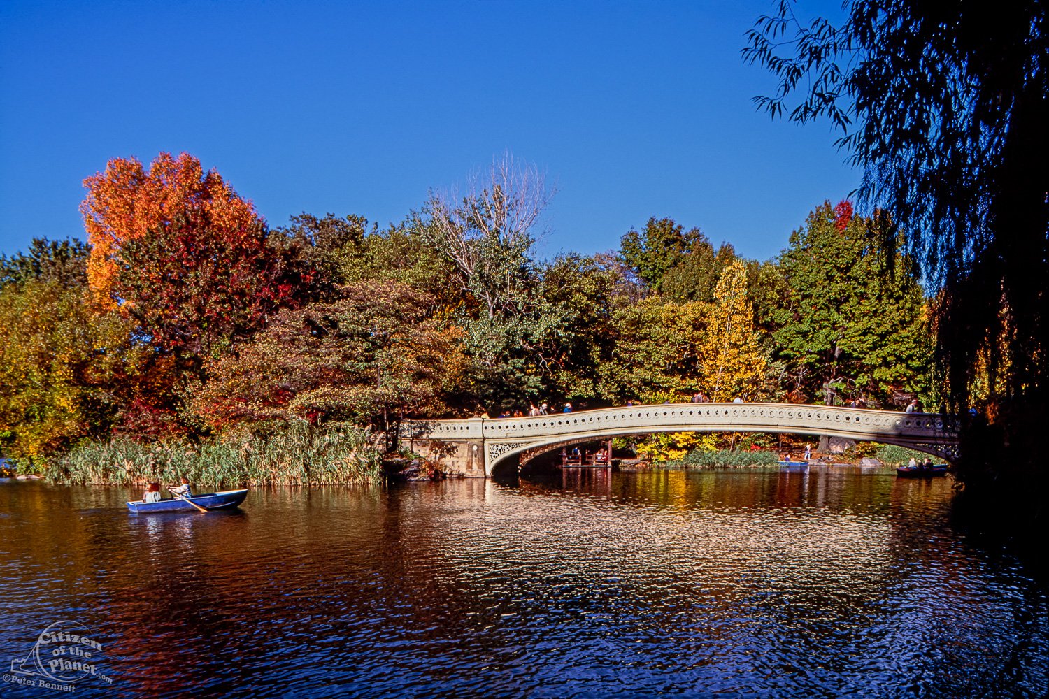 The Lake, Central Park, 1993