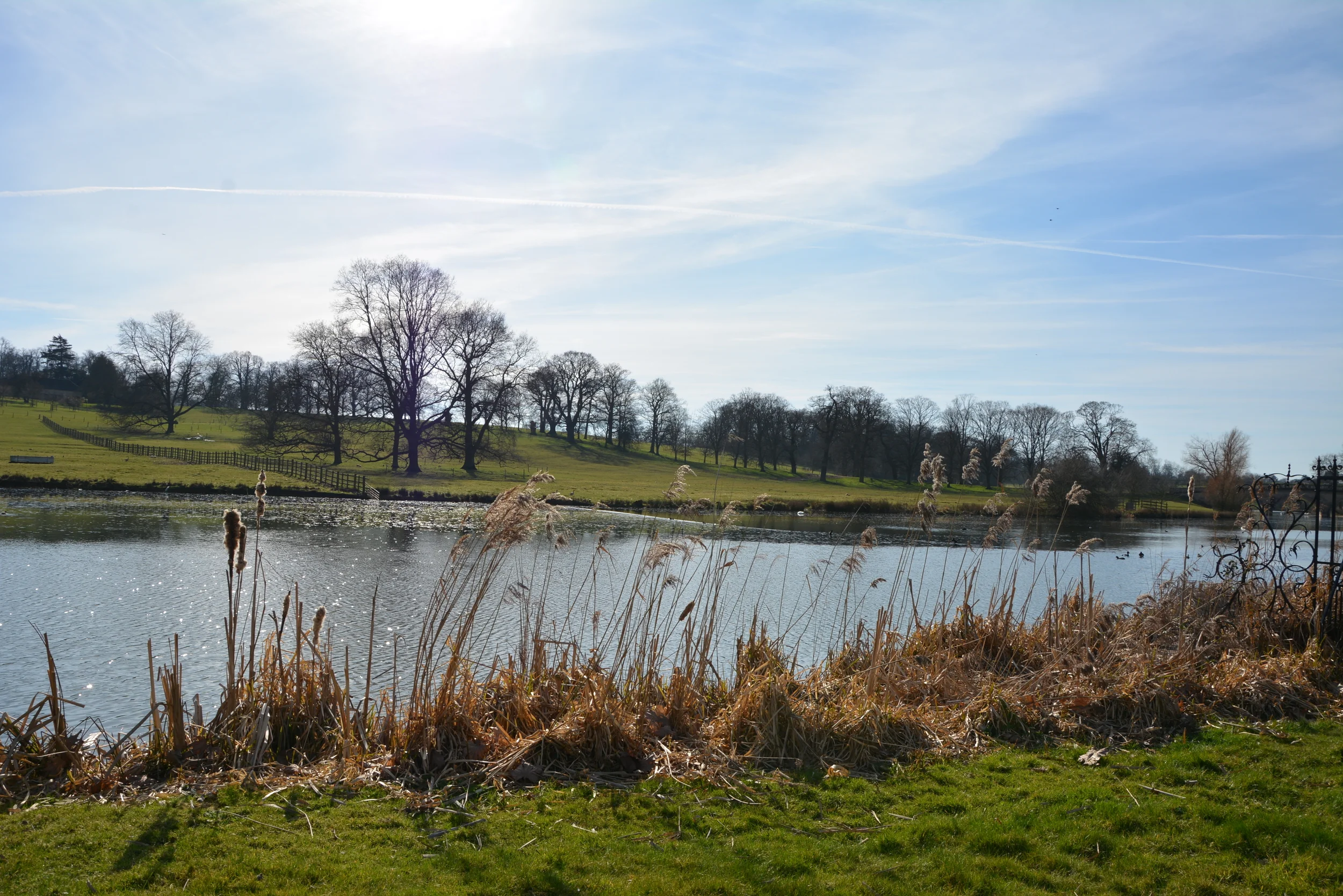 Sunny. Burgley House.