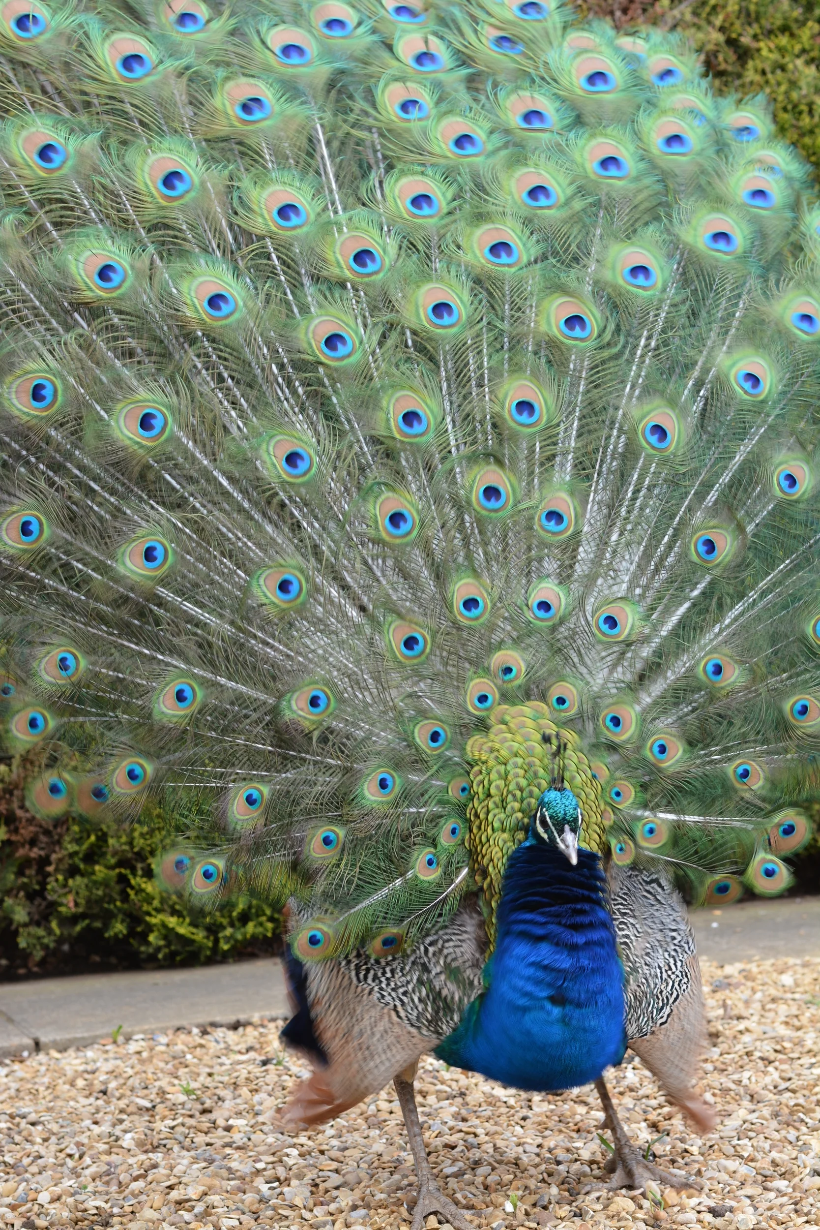 Wonderful. Hustanton.