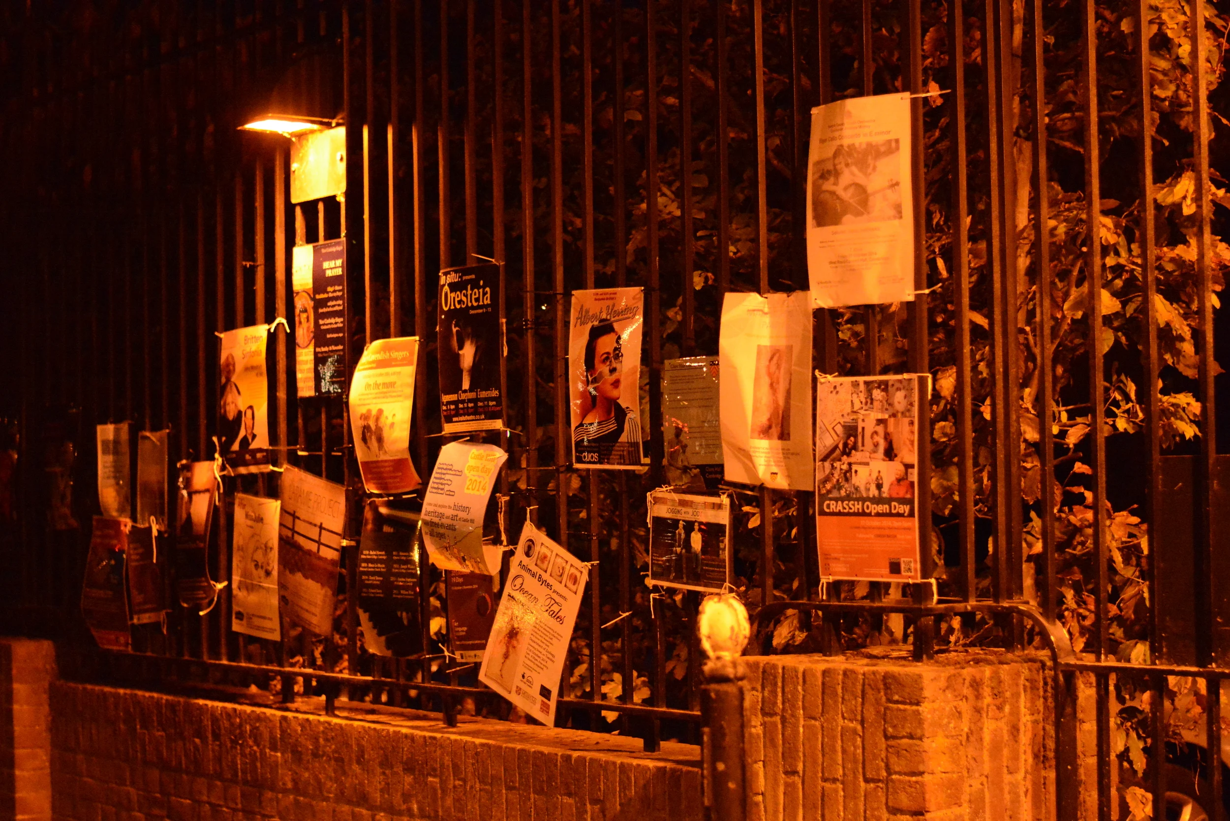 Posters. Queen's College.