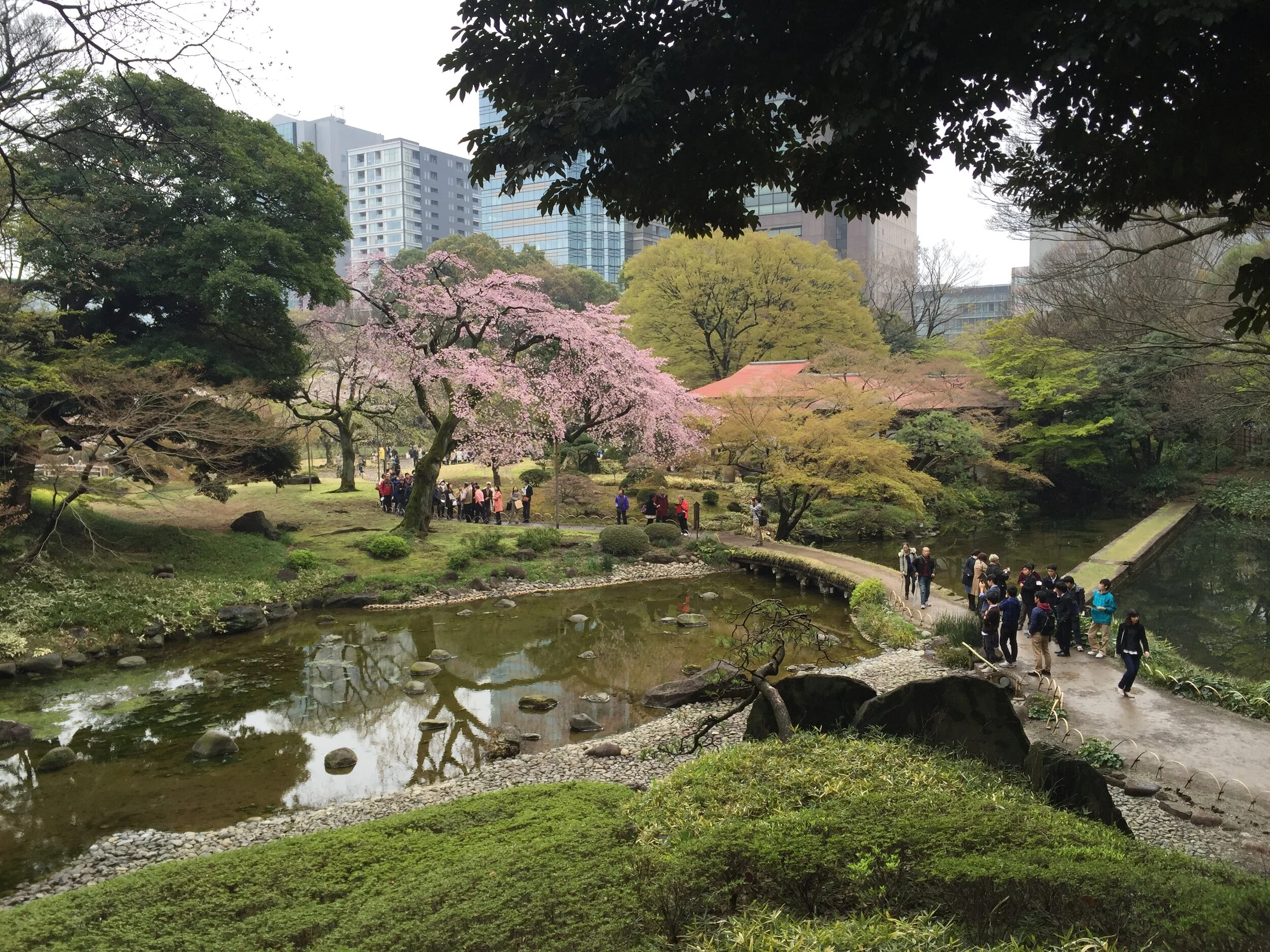  My favorite sakura viewing spot: Koishikawa Korakuen Gardens 小石川後楽園. It must be a nice place for fall foliage as well. 
