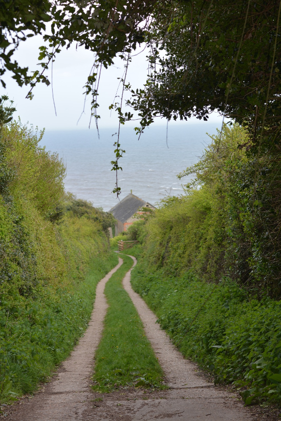  Walking away from where I got lost.  South West Coast Path: Charmouth-Puncknowle-Abbotsbury-Weymouth 