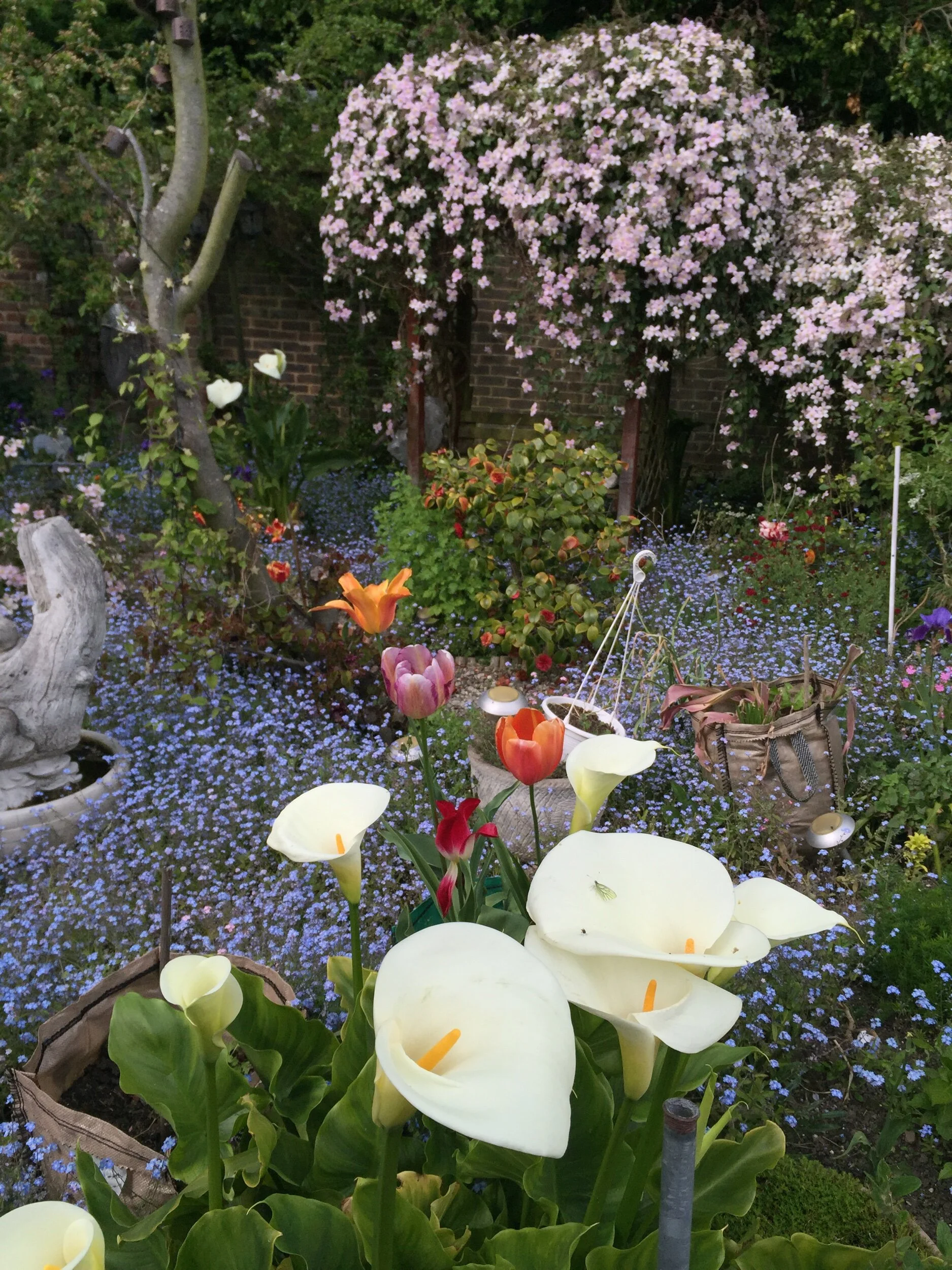  Flowery garden.  Viking Coastal Trail: Ramsgate-Broadstairs-Margate 