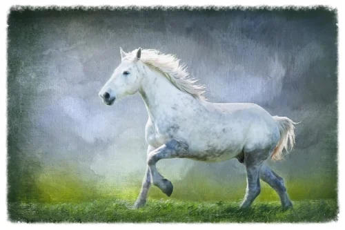 Painting of our Gus by Jennifer Judkins