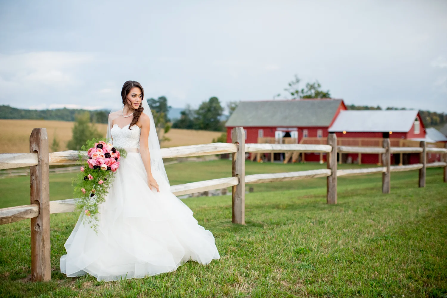 Tracey Buyce Photography
