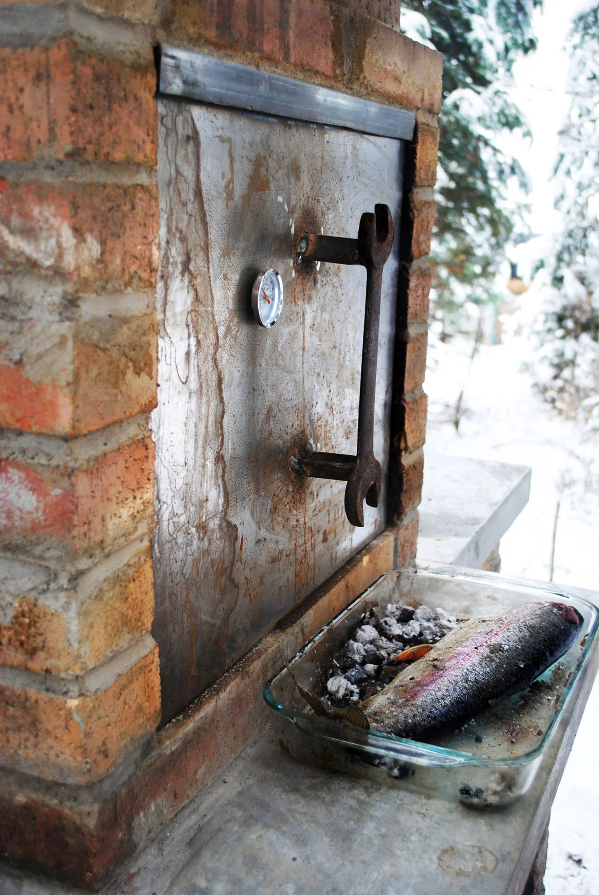 DoorWithFish.jpg