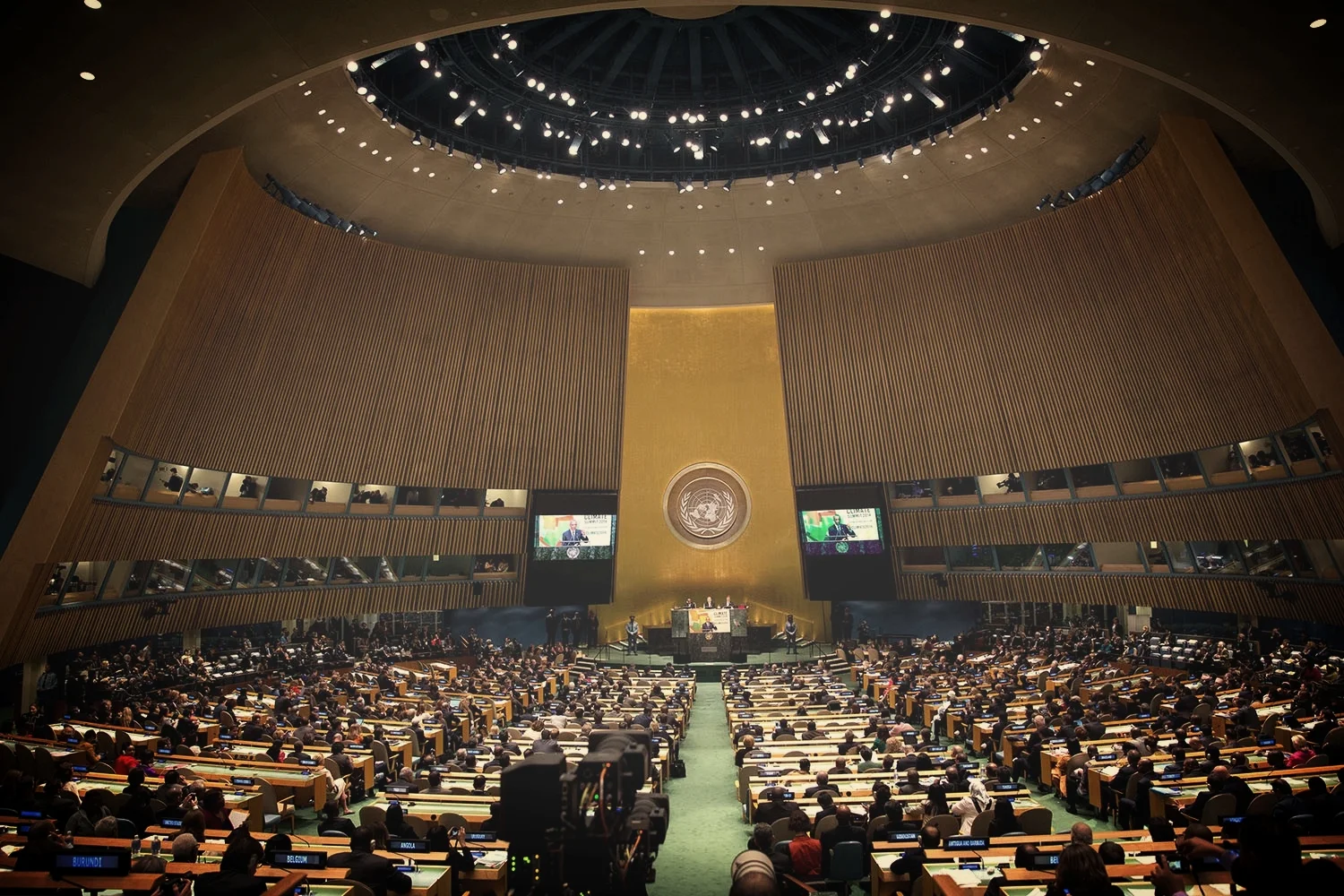 Swamp Watch: The United Nations