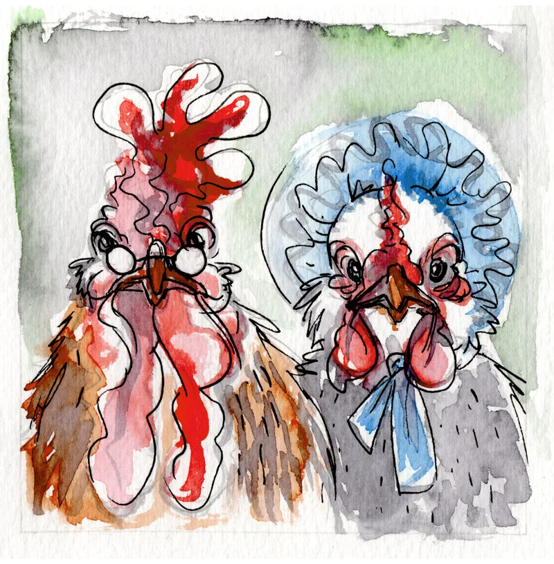 Mr. & Mrs. Chicken