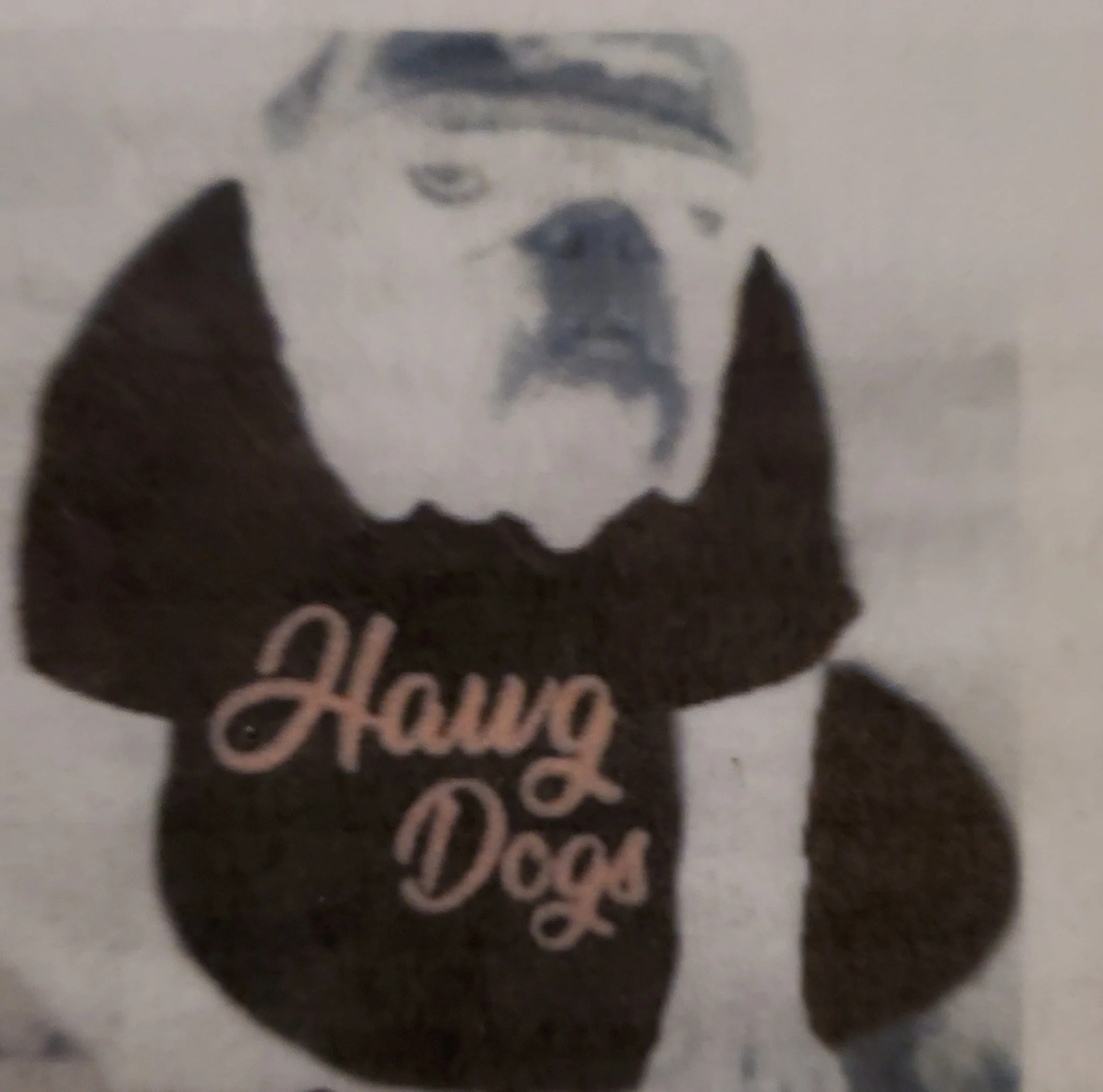 Hawg Dogs