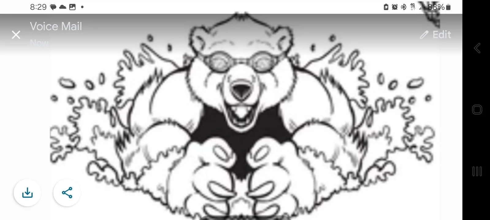 Bears Showtown USA, Inc.