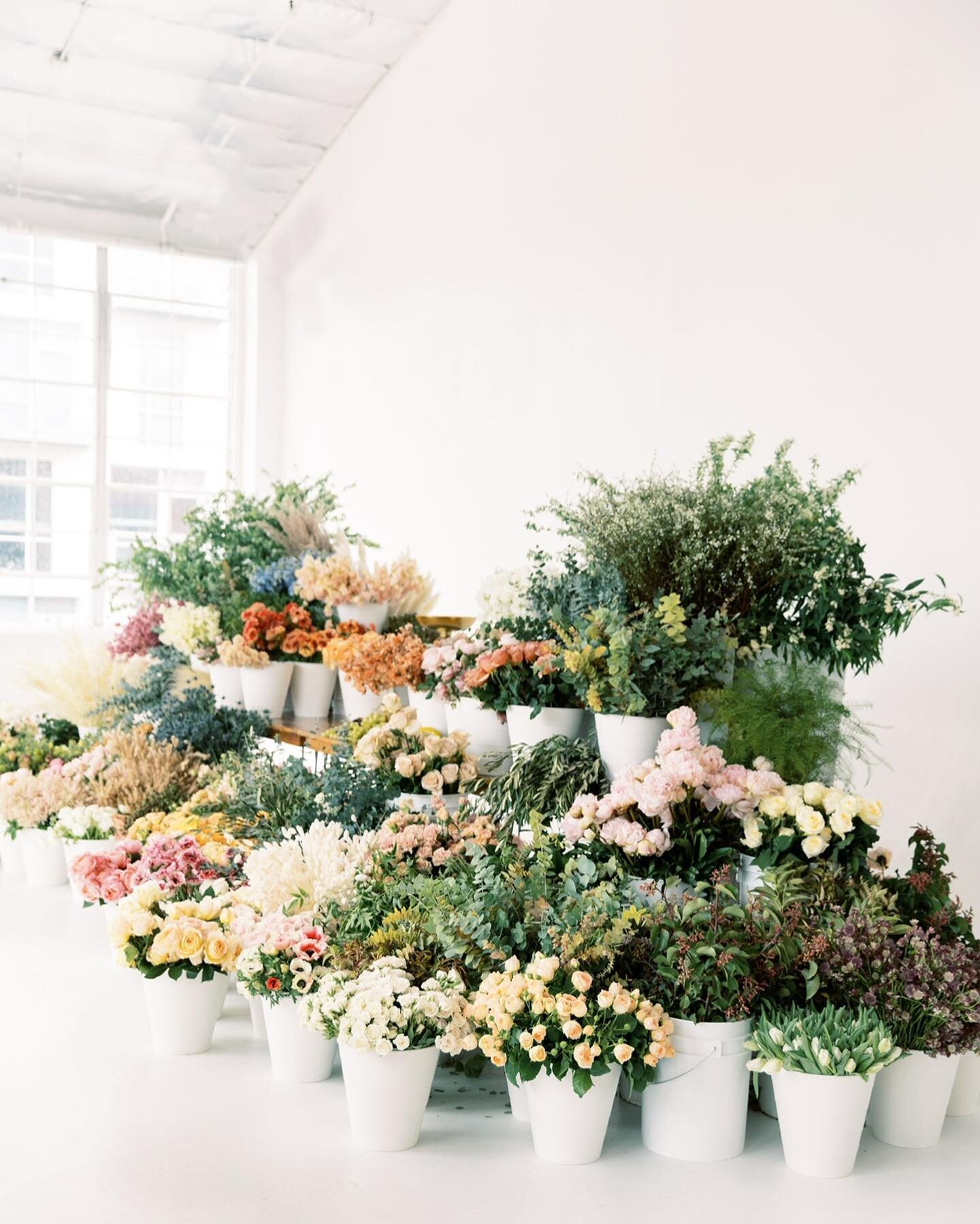 2022 Summer Floral Registration Is Now Open!

I&rsquo;ll be seeing y&rsquo;all in Austin, Texas, baby. 

This is going to be my last workshop for a while so you can imagine how excited I am to create, teach, and most importantly - meet each of you! 
