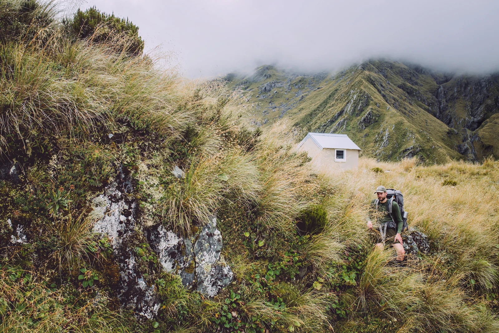 Toaroha Saddle Bivvy