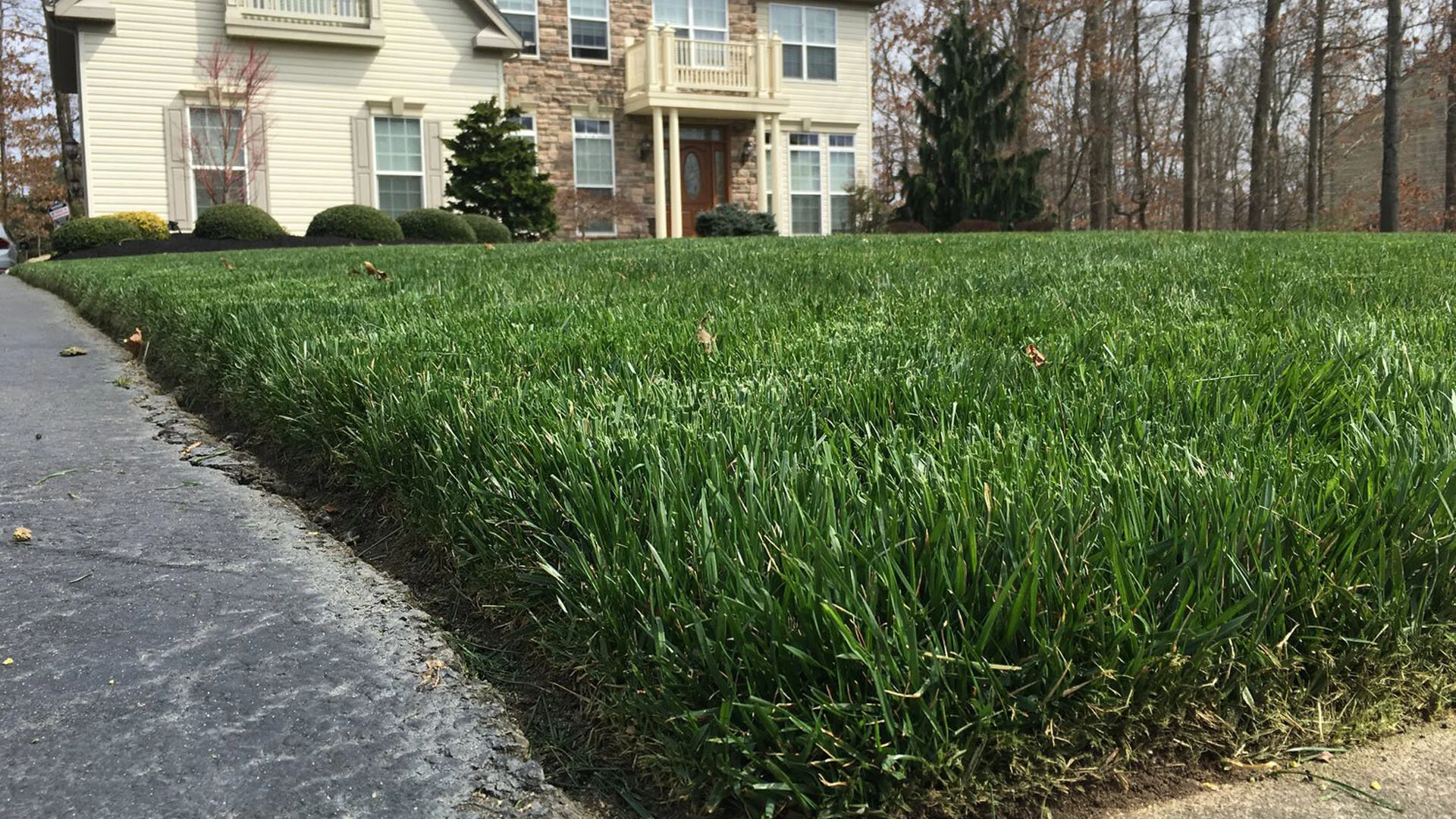 Complete Portfolio Of Work — DiBiase Landscaping Landscaping