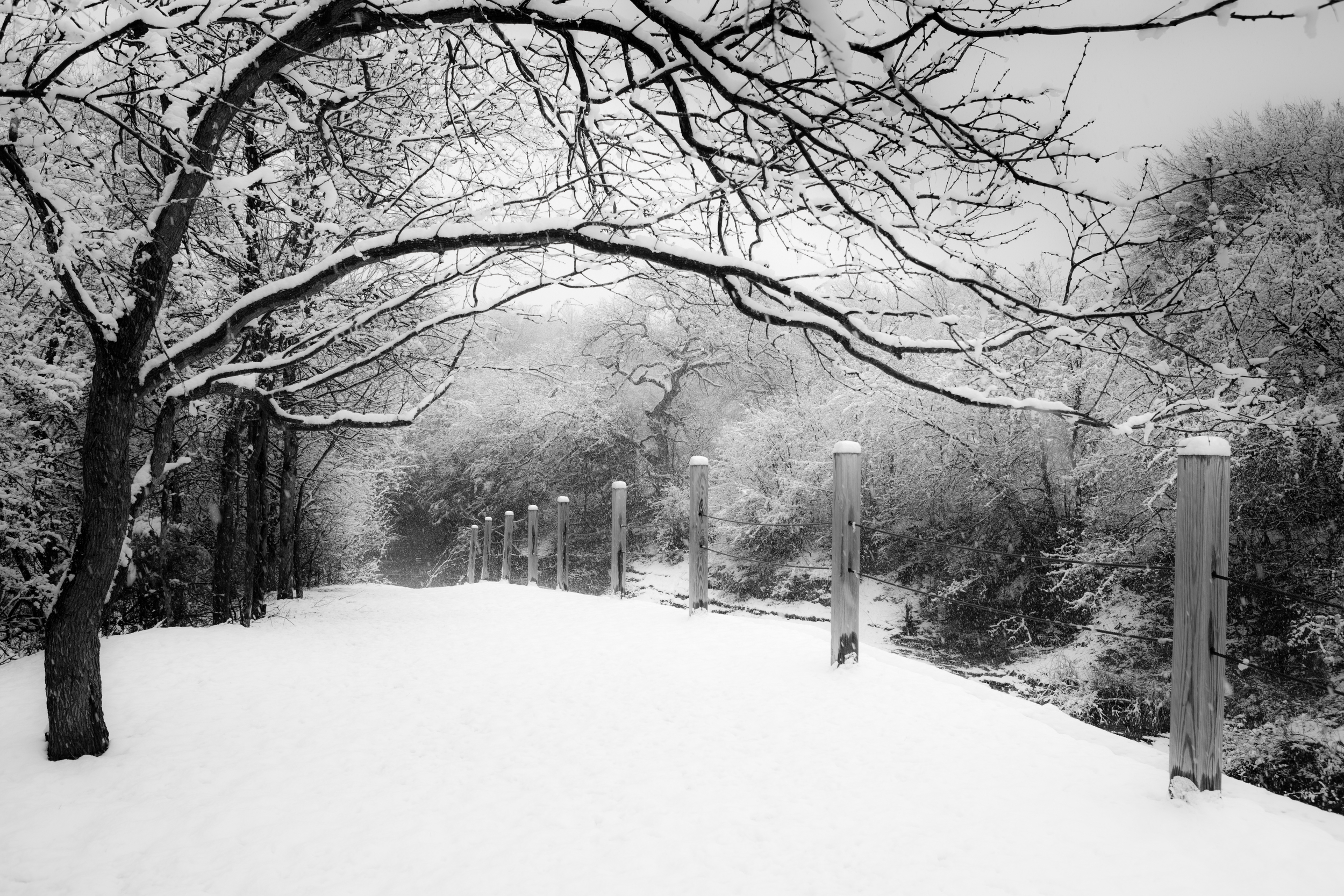 Coppell Snow 2010_4457-Edit.jpg