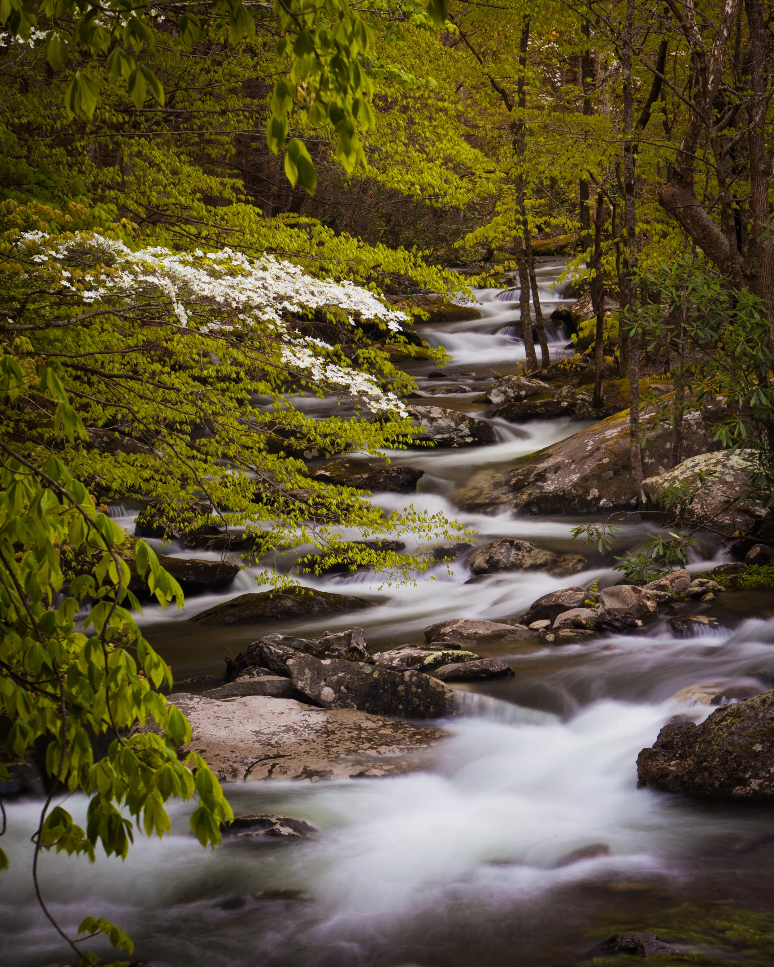 Shooting Rivers and Waterfalls
