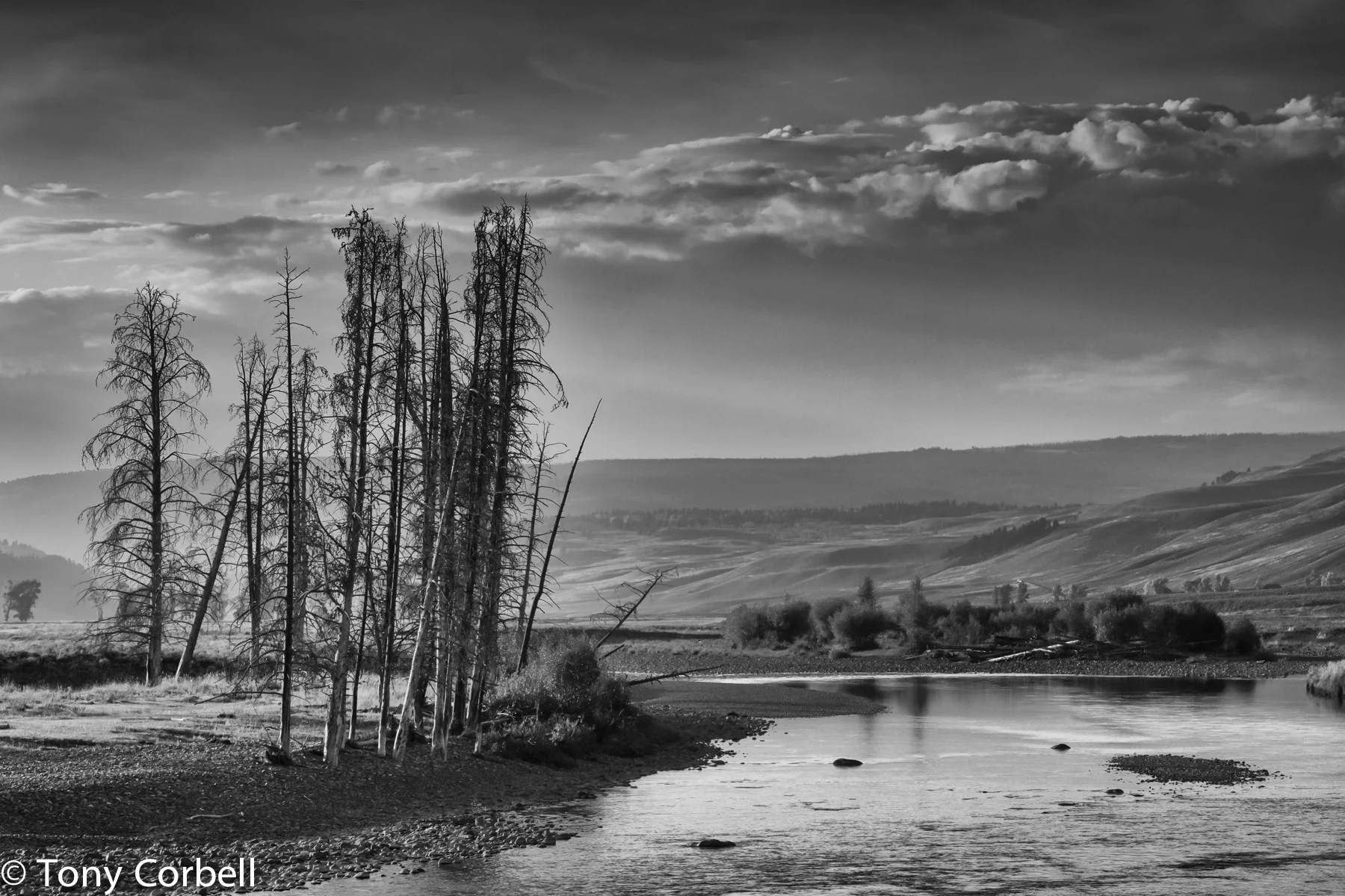 Color or Black and White...Making the Decision