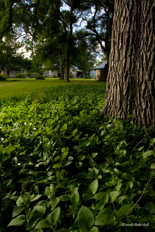 This image uses hyperfocal to help illustrate the lush grounds of a Texas bed and breakfast. 