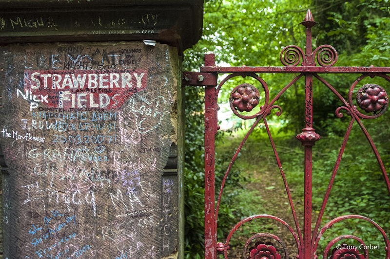A long-time favorite of mine from Liverpool, England