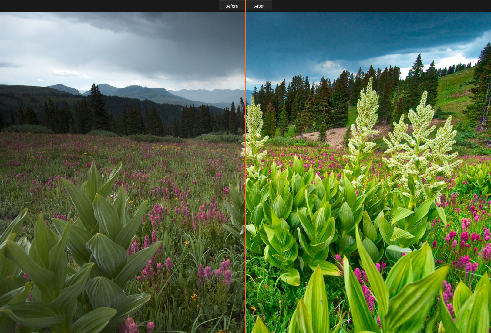 This shows the Before/After processing by Luminar. 
