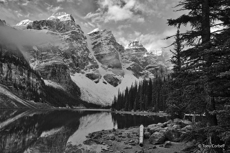 Here is a B&W version processed with Macphun's Tonality product. 