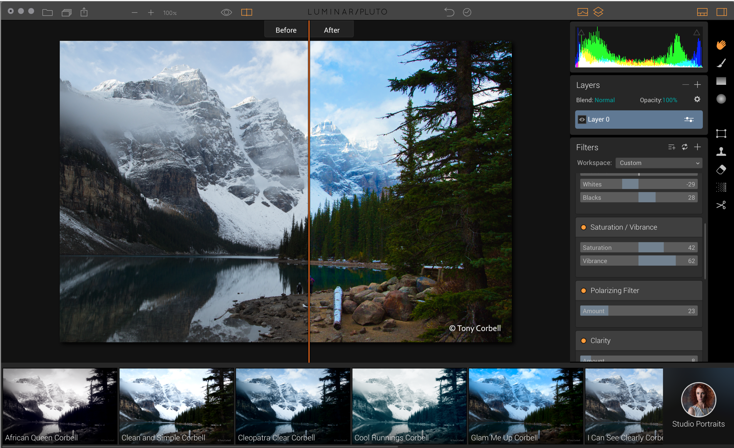 Luminar has a great user interface that is both intuitive and yet powerful enough for pros.