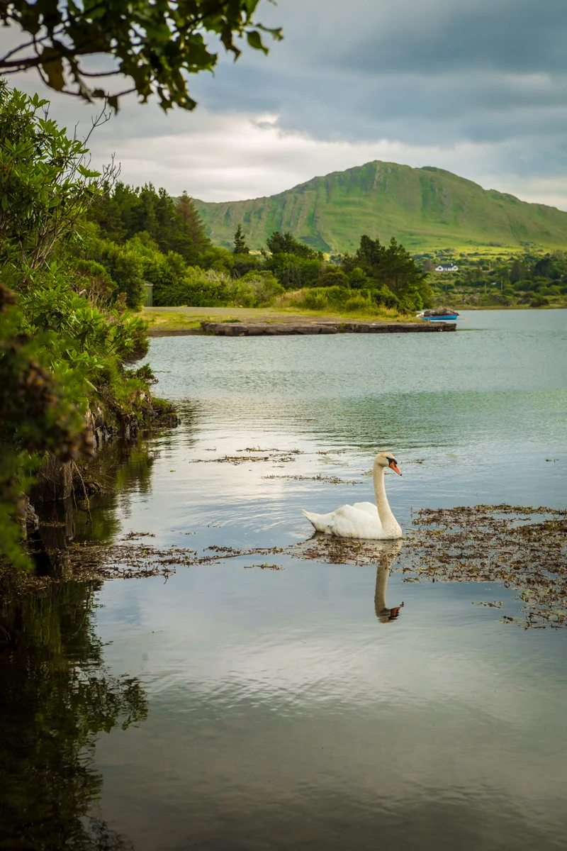 A beautiful serene scene but lacking in scope just a little. Let's re-frame horizontal and see what the results might be.