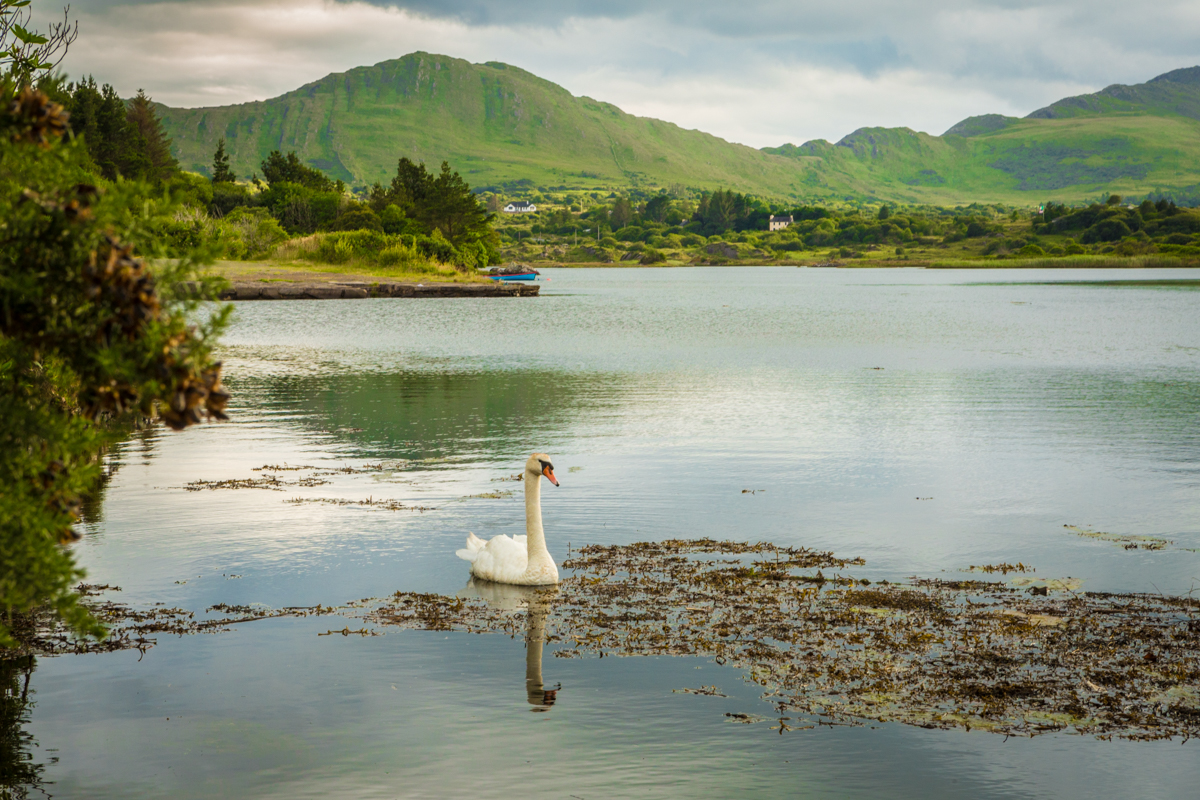 The majesty opens up when we can see a better view of the entire scene. Strong image by Mandy Lynn Corbell...