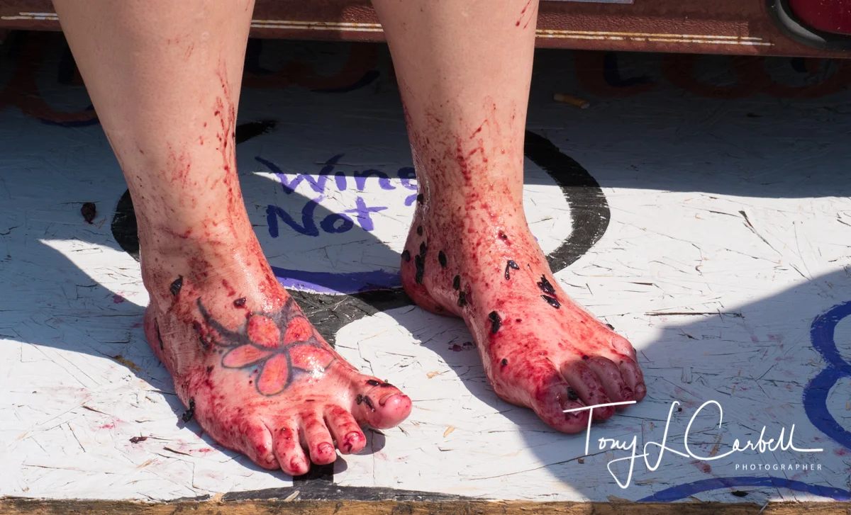 One of the many "grape stompers"