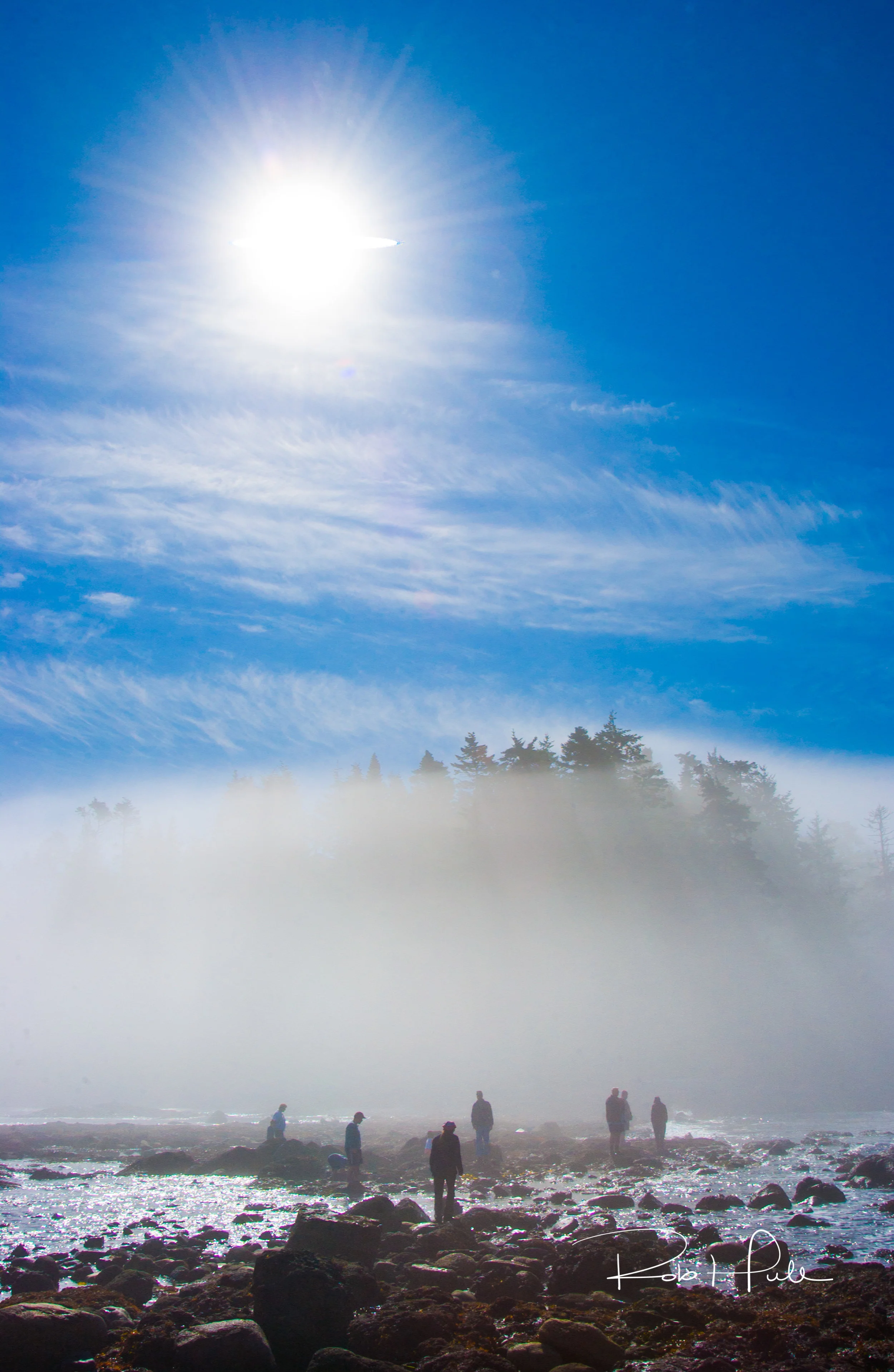 A heavy fog cloud settles on the tidal pools in Olympic National Park.