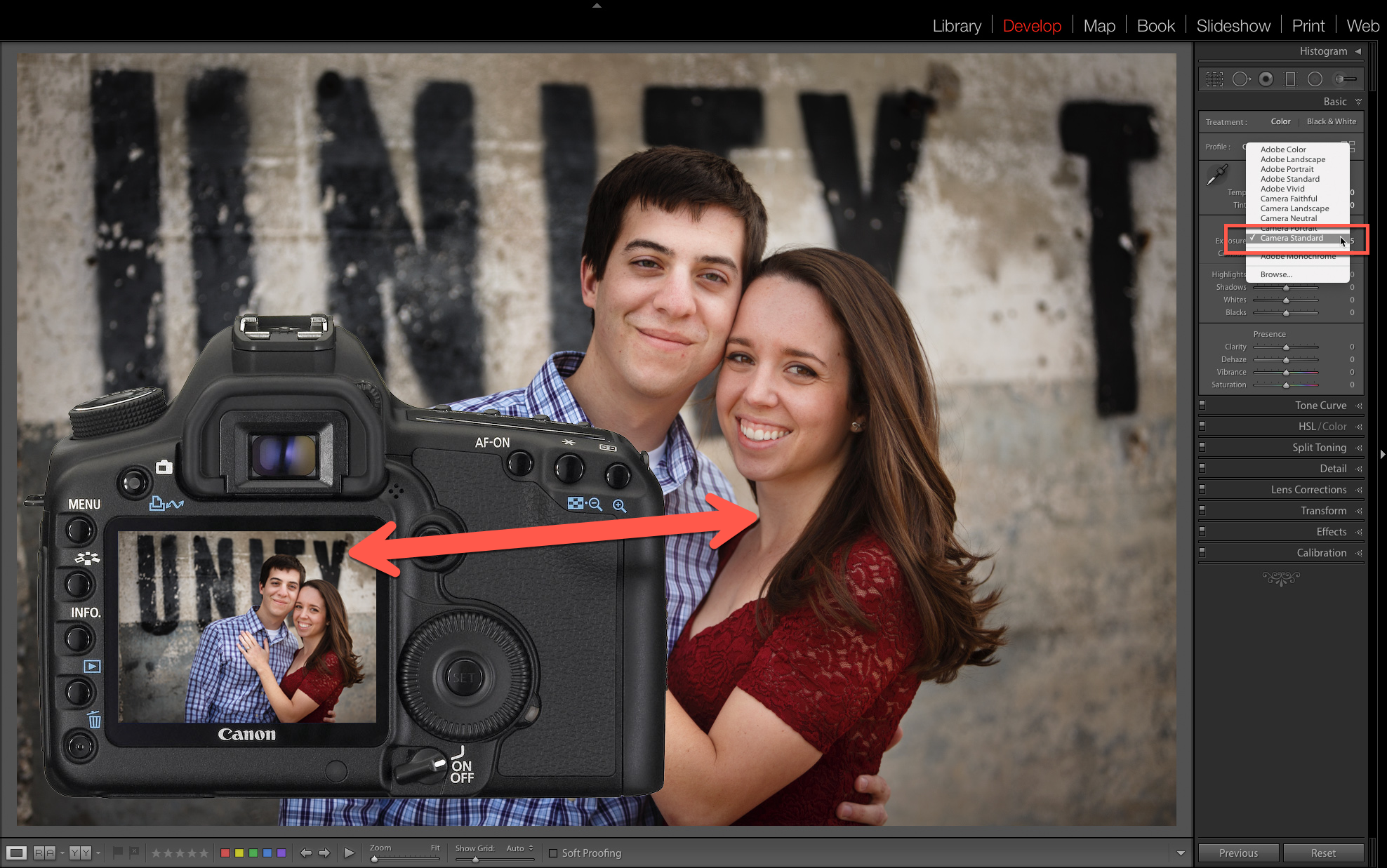 Get the Lightroom Preview to match the image you see on the back of your camera.