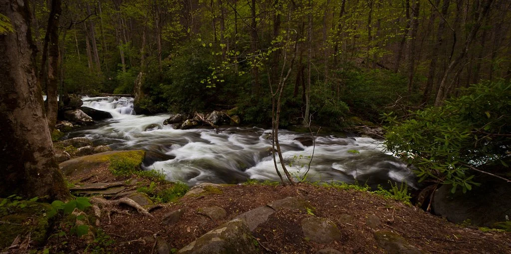 Smoky Mountains-0469-Edit.jpg