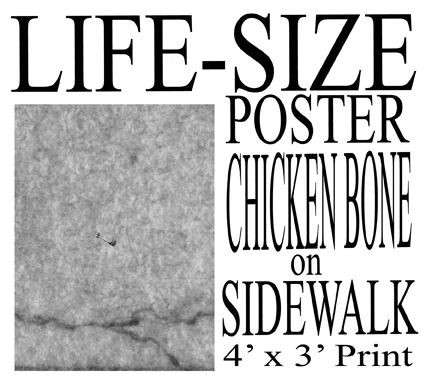 wChickenBoneConcrete4x3.jpg