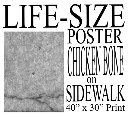WebCoverChickenBoneConcrete.jpg