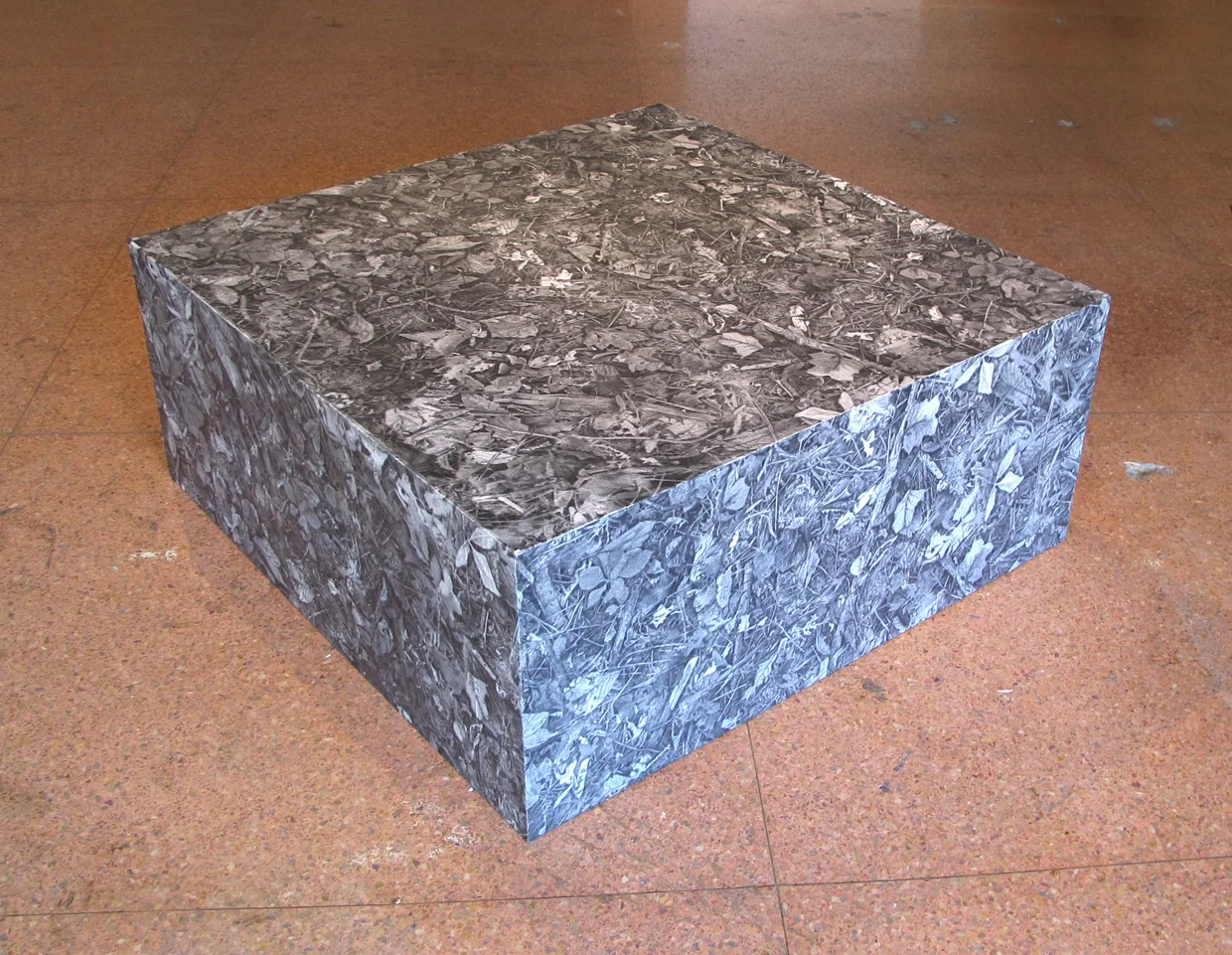 ForestFloorCubeW.jpg