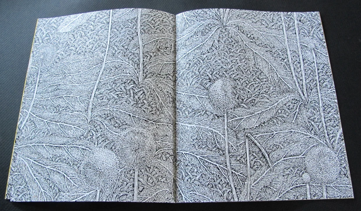 wDandelionBook3.jpg