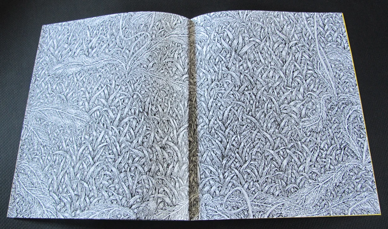 wDandelionBook6.jpg